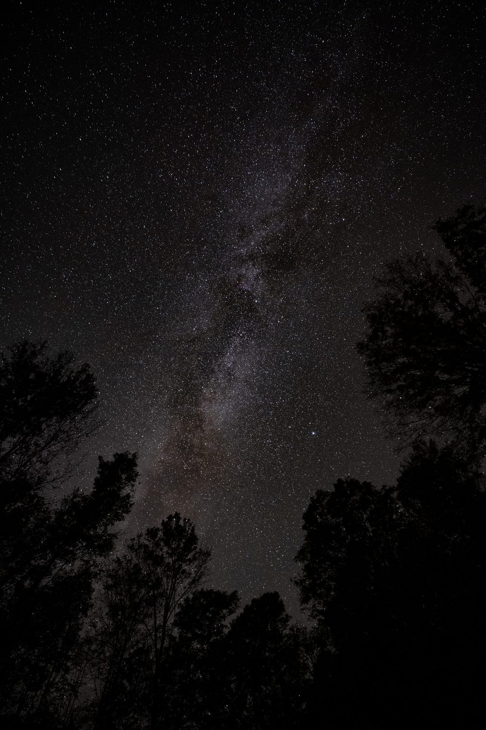 Night sky photograph — Northern Michigan