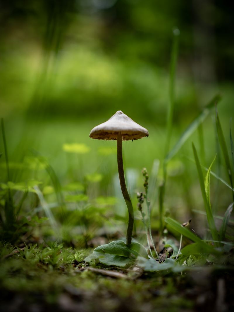 Portrait photograph — Northern Michigan